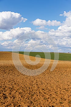 Landscape with Agricultural Land