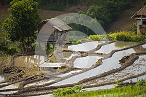 Landscape of agricultural plots on the mountains in the rainy season at Mae Chaem District Chiang Mai Province, Thailand