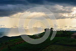 Landscape of agricultural plots on the mountains in the rainy season at Mae Chaem District Chiang Mai Province, Thailand