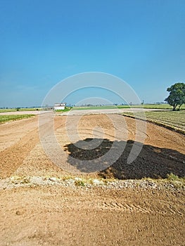 Landscape of agriculture field in rural india village