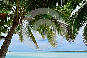 Landscape of Aitutaki Lagoon Cook Islands