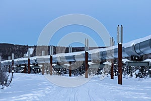 Landscape of the Alaskan oil pipeline on icy ground and snowy trees in Fairbanks, Alaska