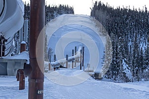 Landscape of the Alaskan oil pipeline on icy ground and snowy trees in Fairbanks, Alaska