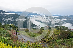 Landscape in alishan mountian