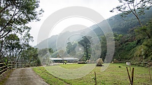 Landscape in alishan mountian