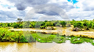 Landscape along the Olifants River near Kruger National Park in South Africa