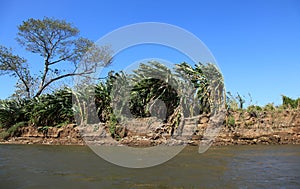 Landscape along the Tarcoles River