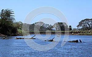 Landscape along the Tarcoles River