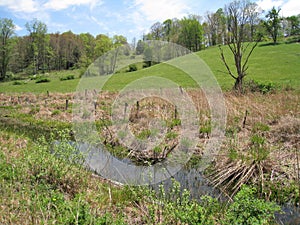 Landscape along Virginia Creeper Trail