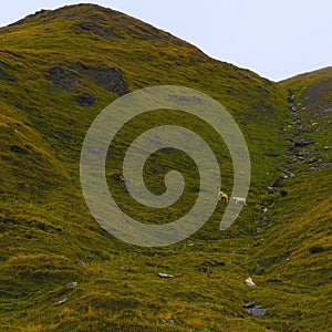 Landscape of Alps mountains Grossglockner National Park Hohe Tauern, Austria