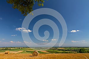 Landscape in Alsace, France