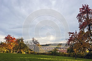 Landscape in Althengstett