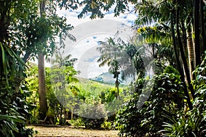 Landscape in Alto JequitibÃ¡, Minas Gerais, Brasil