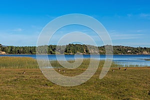 Landscape at Alumine Lake, Villa Pehuenia, Argentina