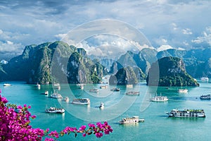 Landscape with Halong bay photo