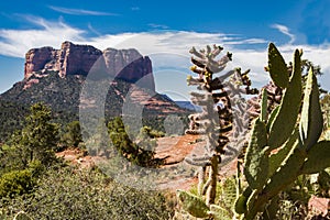 Landscape of American Southwest