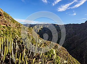 Landscape of Anaga on Tenerife Island, Canary Islands