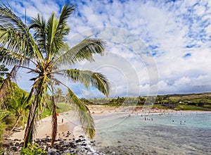 Landscape of Anakena on Easter Island, Chile