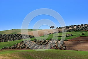 Landscape in andalusia