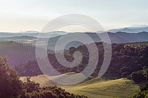 Landscape of the Andalusian countryside in spring at dawn, with large expanses of olive trees and cultivated cereal fields