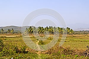 Landscape in Andhra Pradesh