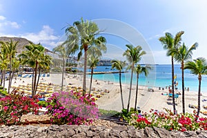 Landscape with Anfi beach, Gran Canaria