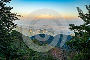 Landscape of Angkhang mountain with wild Himalayan Cherry flower