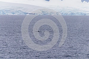 Landscape of the Antarctic Peninsula