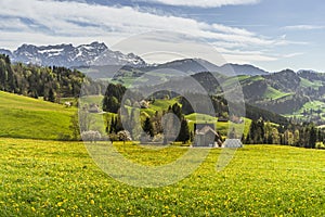 Landscape in the Appenzell Alps, view to the Alpstein mountains with Saentis, Switzerland photo