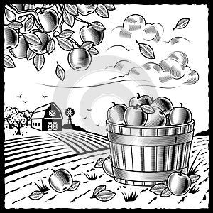 Landscape with apple harvest black and white