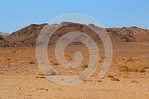 Landscape of the Arava Desert, Israel
