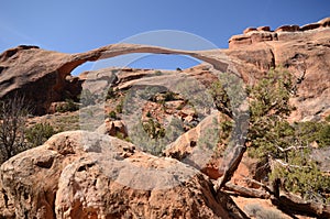 Landscape Arch in Arches National Park photo