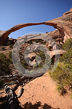 Landscape Arch on a Sunny Day in Arches National Park photo