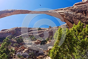 Landscape Arch, Utah photo