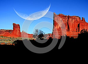 Landscape in Arches National Park