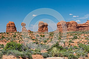 Landscape in Arches National Park Moab Utah