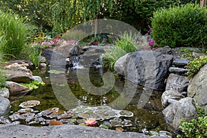 Landscape architecture for summer garden with water feature