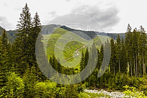 Landscape with the area deforested