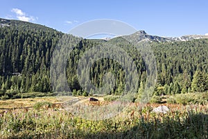 Landscape of area of Tiha Rila, Rila mountain, Bulgaria