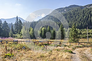 Landscape of area of Tiha Rila, Rila mountain, Bulgaria