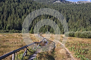 Landscape of area of Tiha Rila, Rila mountain, Bulgaria