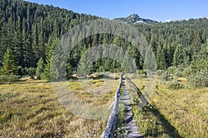 Landscape of area of Tiha Rila, Rila mountain, Bulgaria