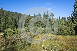 Landscape of area of Tiha Rila, Rila mountain, Bulgaria