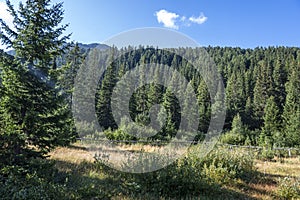 Landscape of area of Tiha Rila, Rila mountain, Bulgaria