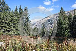 Landscape of area of Tiha Rila, Rila mountain, Bulgaria