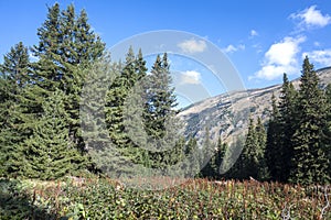 Landscape of area of Tiha Rila, Rila mountain, Bulgaria