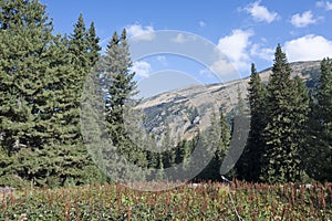 Landscape of area of Tiha Rila, Rila mountain, Bulgaria