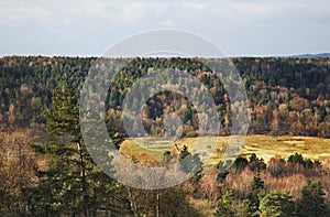Landscape in Arlamow. Spring. Poland
