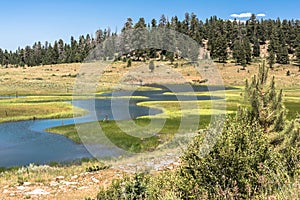 Landscape around Duck Creek, Utah