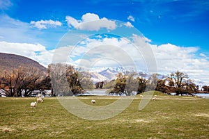 Landscape around Glenorchy and Paradise in New Zealand